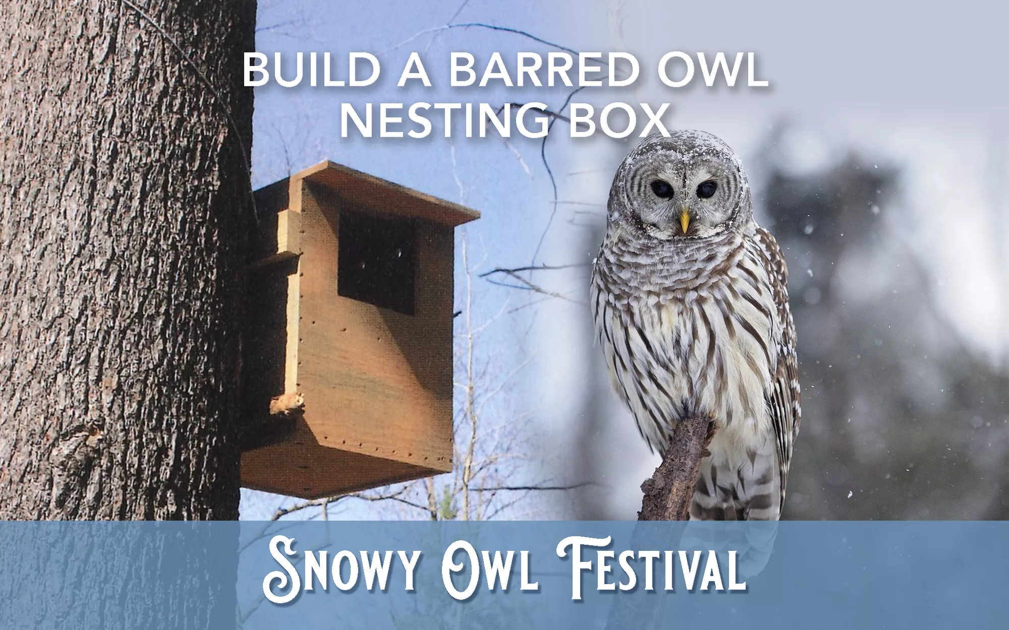 Build a Barred Owl Nesting Box - Hessel School House