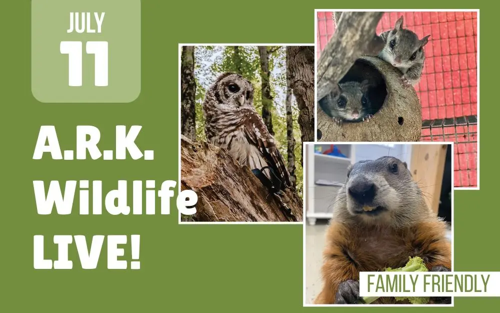 A.R.K. Wildlife at Hessel School House
